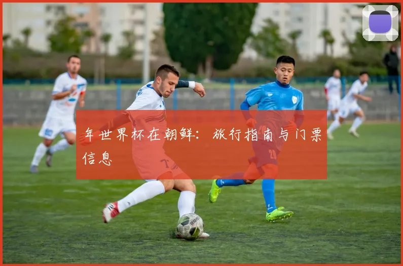 年世界杯在朝鲜：旅行指南与门票信息