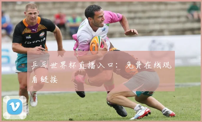 乒乓世界杯直播入口：免费在线观看链接